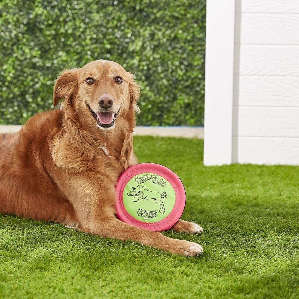 Aspen Booda SOFT BITE FLOPPY DISC Gentle Dog Toy Flyer Frisbee 7 Inch Small Fry