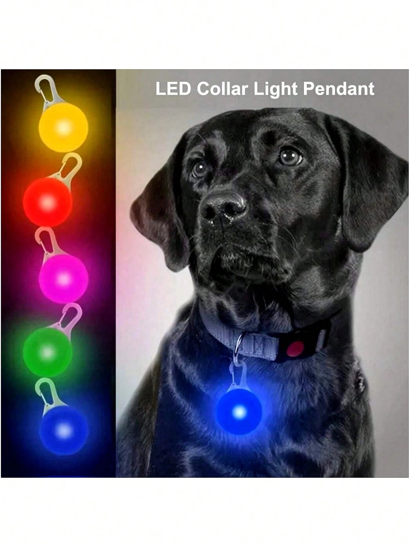 1Pc Random Pet Luminous Pendant Anti-Lost Tag, Light up Your Dog'S Night Walks!