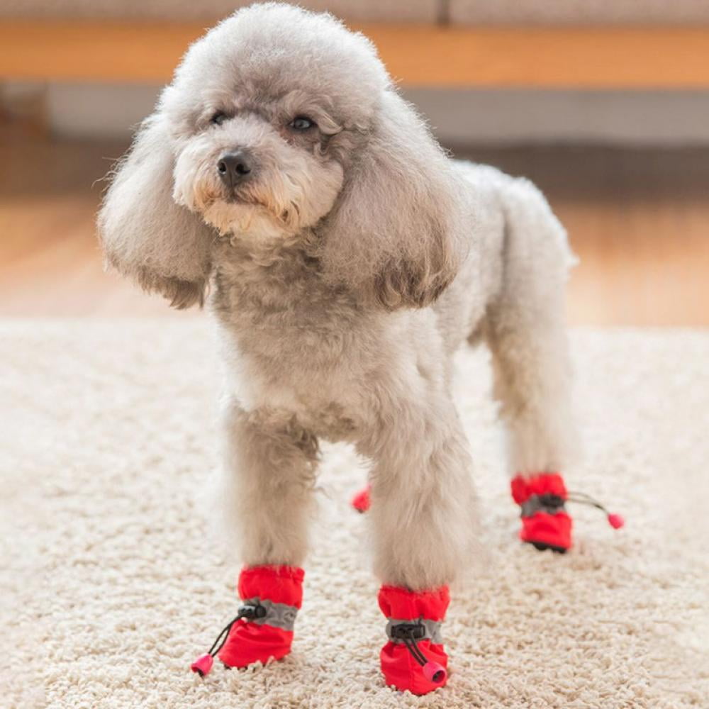 Winter Dog Shoes for Small Dogs,Anti-Slip Dogs Boots Paw Protector