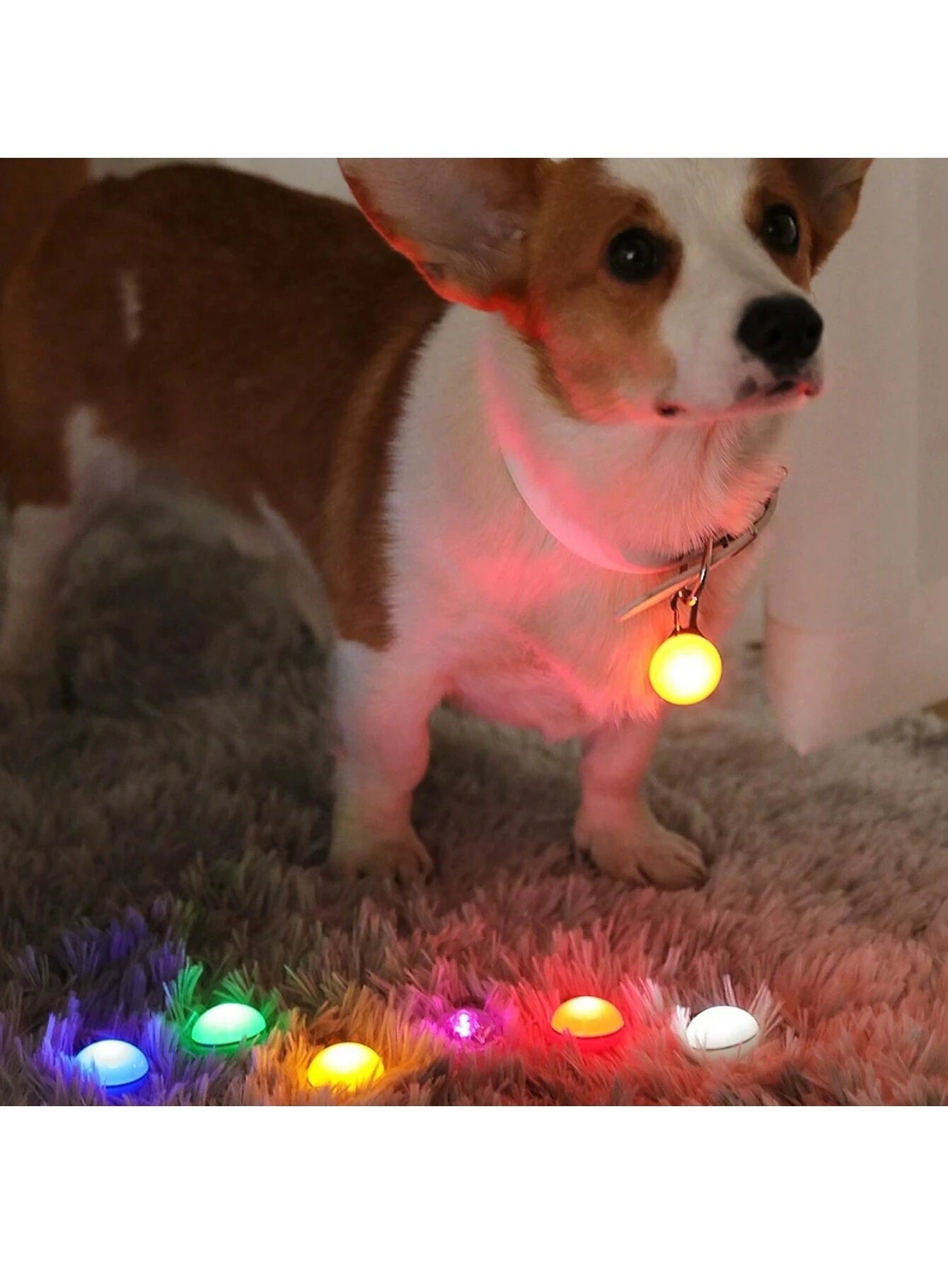 1Pc Random Pet Luminous Pendant Anti-Lost Tag, Light up Your Dog'S Night Walks!
