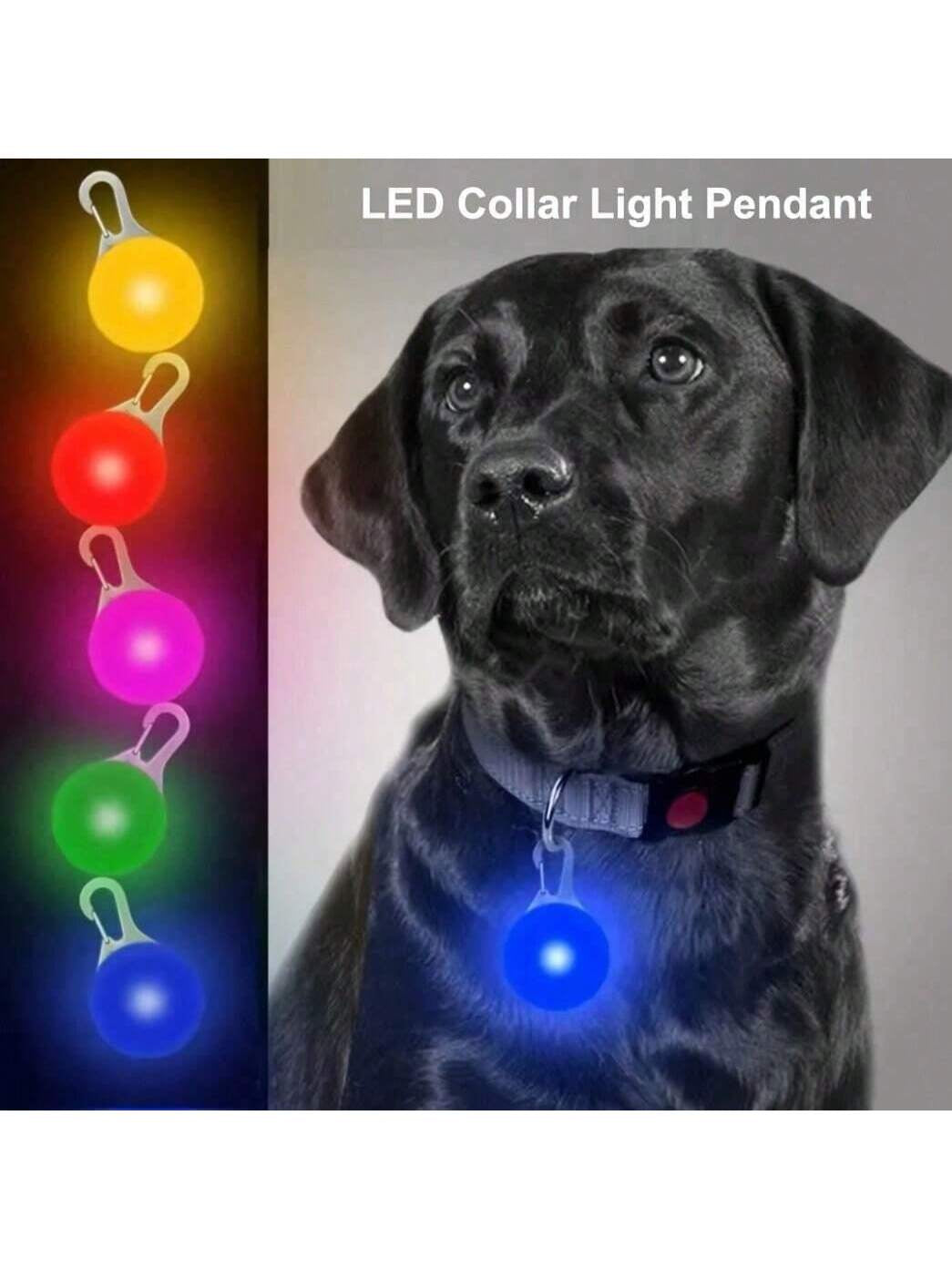 1Pc Random Pet Luminous Pendant Anti-Lost Tag, Light up Your Dog'S Night Walks!