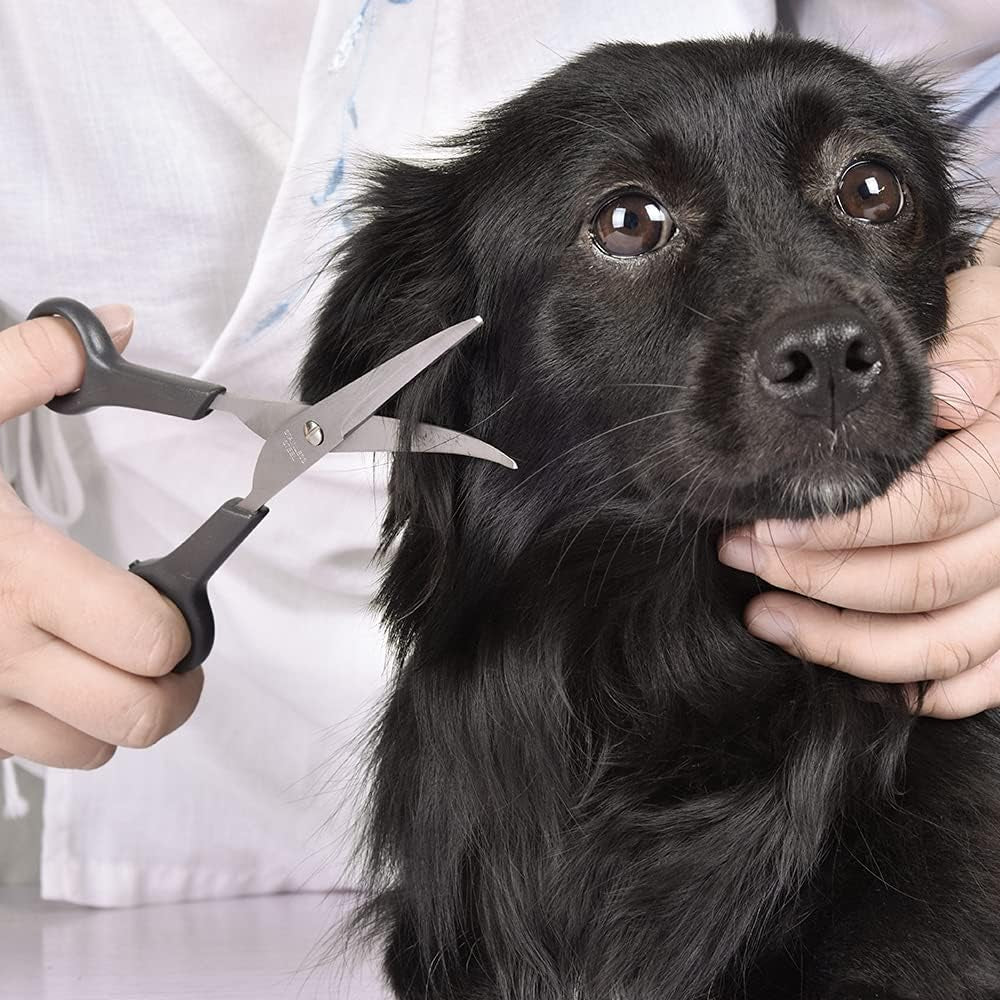 Pet Grooming Scissors Set Ball Tip Eye Cut Scissors and Curved Shears, Professional Home Pets Grooming Tools Kit for Dogs and Cats 6 Dark Grey