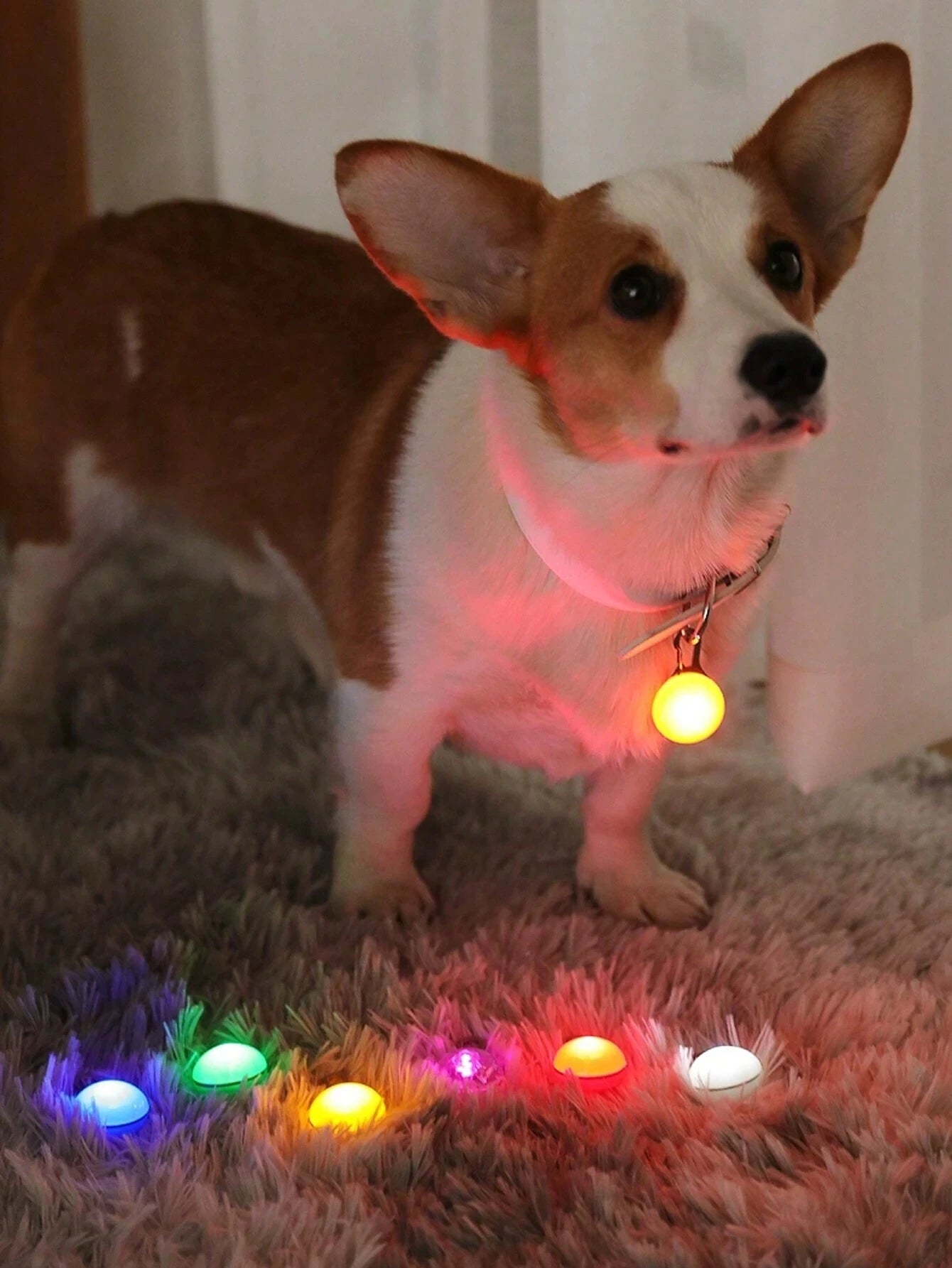 1Pc Random Pet Luminous Pendant Anti-Lost Tag, Light up Your Dog'S Night Walks!
