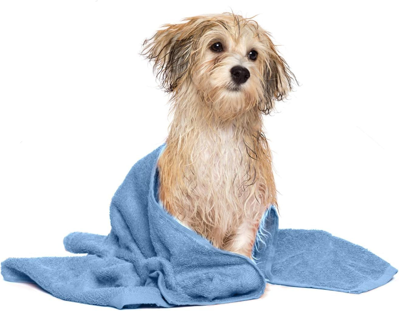 Dog Towels for Drying Dogs Large, 100% Cotton Puppy Bath Towel, Ultra Soft 450 GSM Super Absorbent Quick Dry Pet Grooming Supplies, 20X40 Inches, Medium Blue