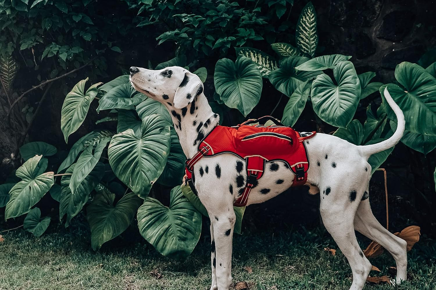 Escape Proof Dog Harness with Four Pockets | Waterproof Backpack Harness | Full Body Dog Lift Handle | 5 Point Adjustable Fit | 3M Reflective for Safety | Dog Hiking Harness for Day Trips