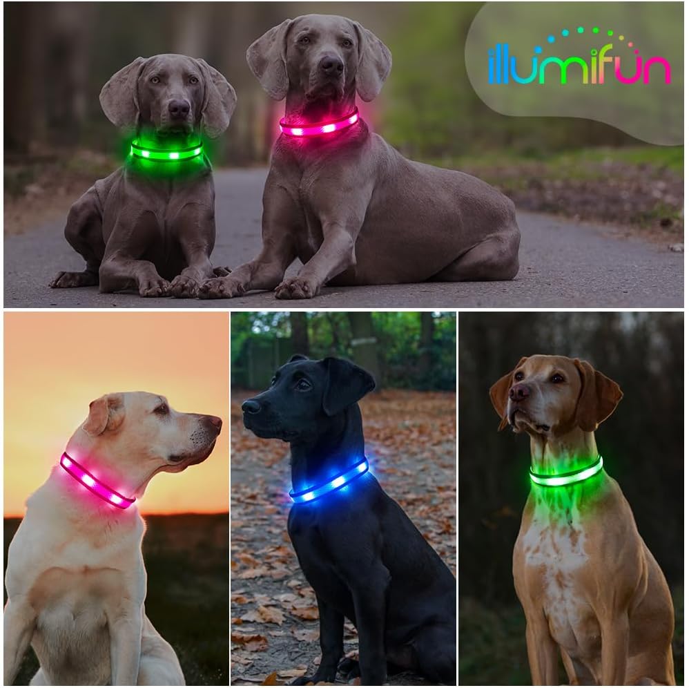 Light up Dog Collar - USB Rechargeable LED Dog Collar Glow in the Dark 