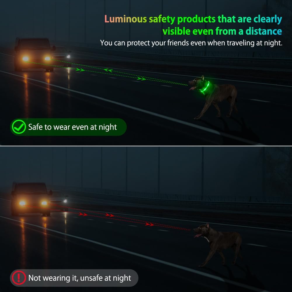Light up Dog Collar - USB Rechargeable LED Dog Collar Glow in the Dark 