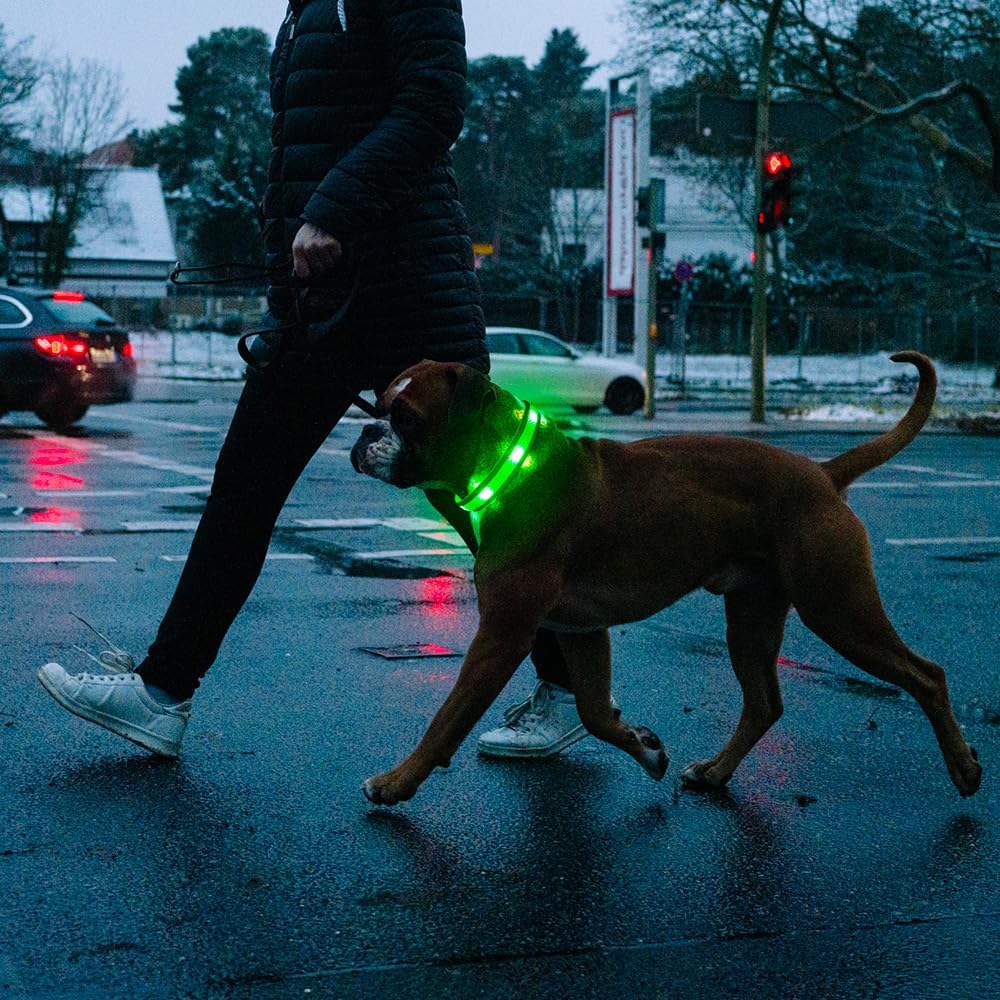 Light up Dog Collar - USB Rechargeable LED Dog Collar Glow in the Dark 