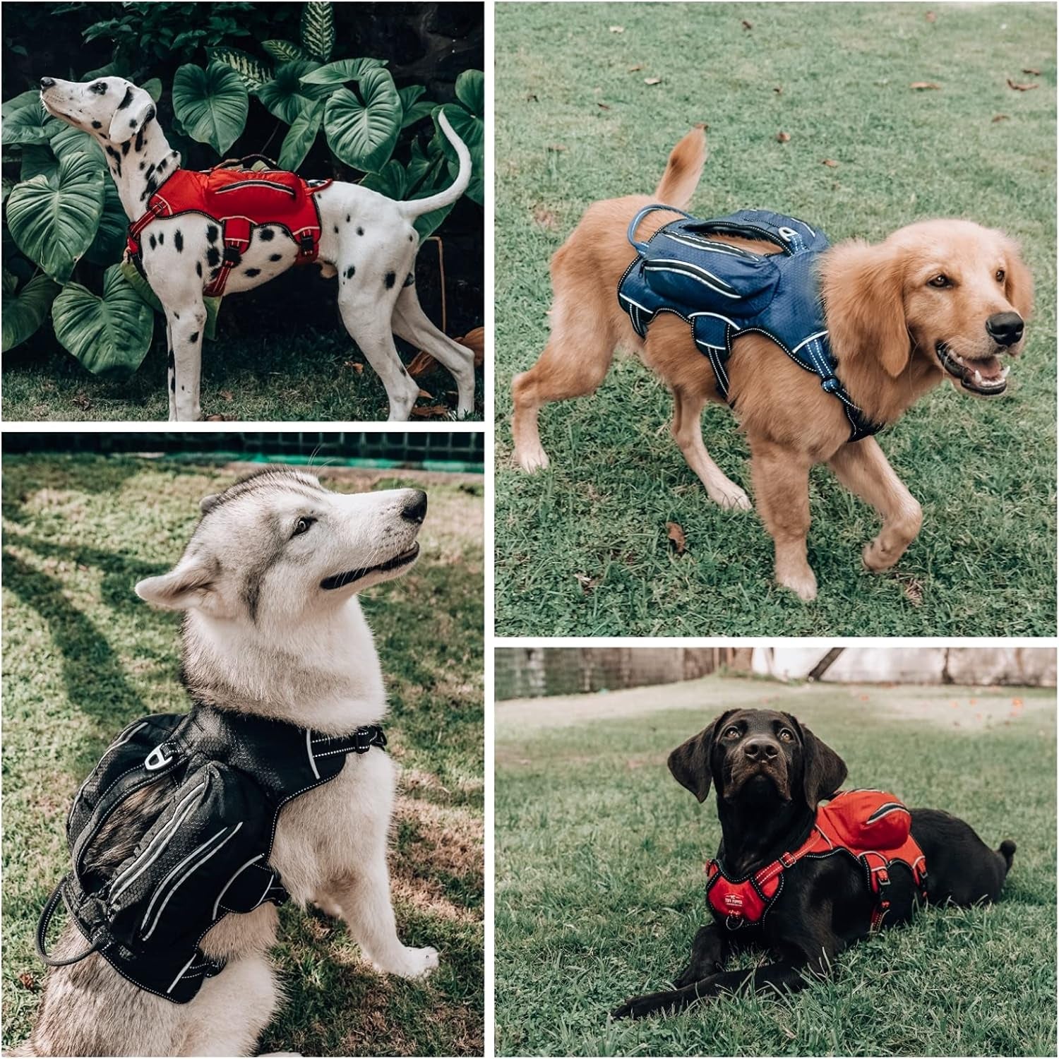 Escape Proof Dog Harness with Four Pockets | Waterproof Backpack Harness | Full Body Dog Lift Handle | 5 Point Adjustable Fit | 3M Reflective for Safety | Dog Hiking Harness for Day Trips