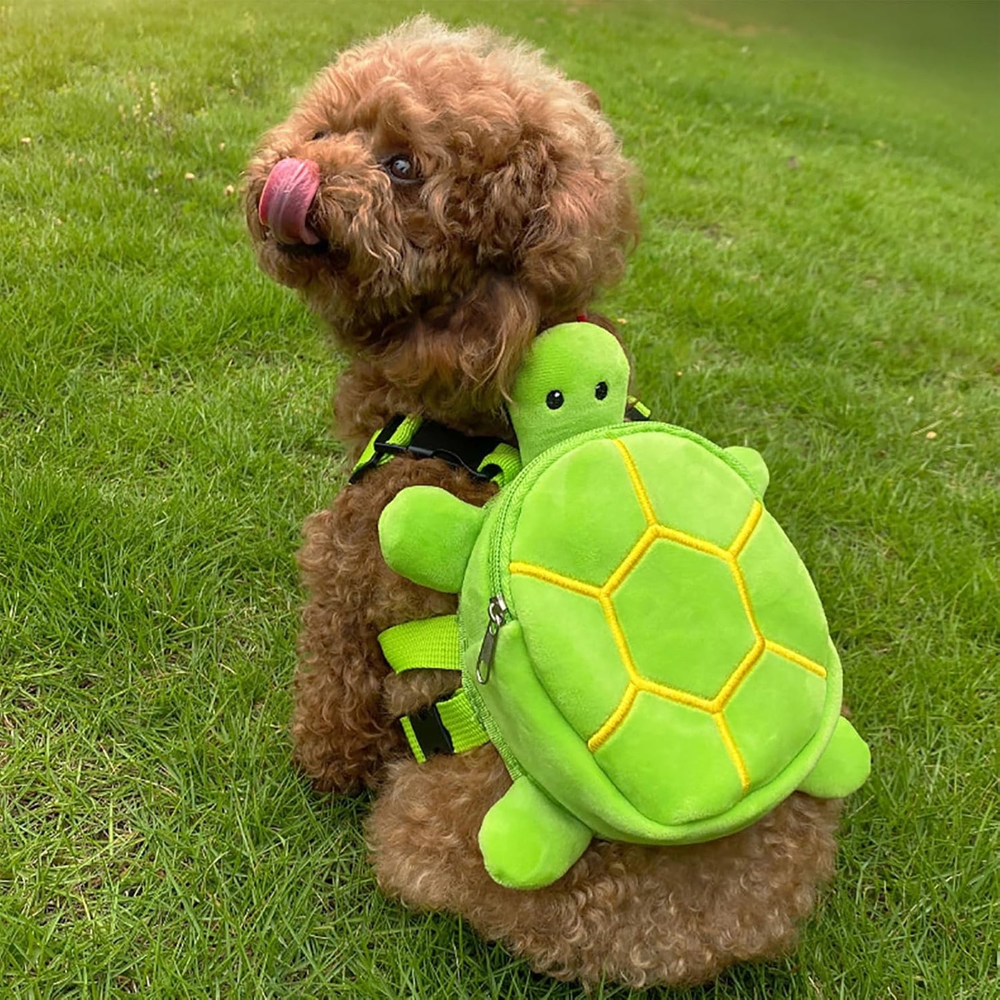Dog Harness Backpack - Breathable Cute Turtle Shape Dog Backpack for Dogs to Wear,Dog Poop Bag Dispenser,Pet Self Carrier Snack Bag for Pet Outdoor Training Walking Travel Green